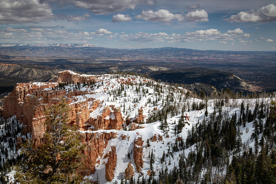 Zion_9993 Photograph by Linda Triplett