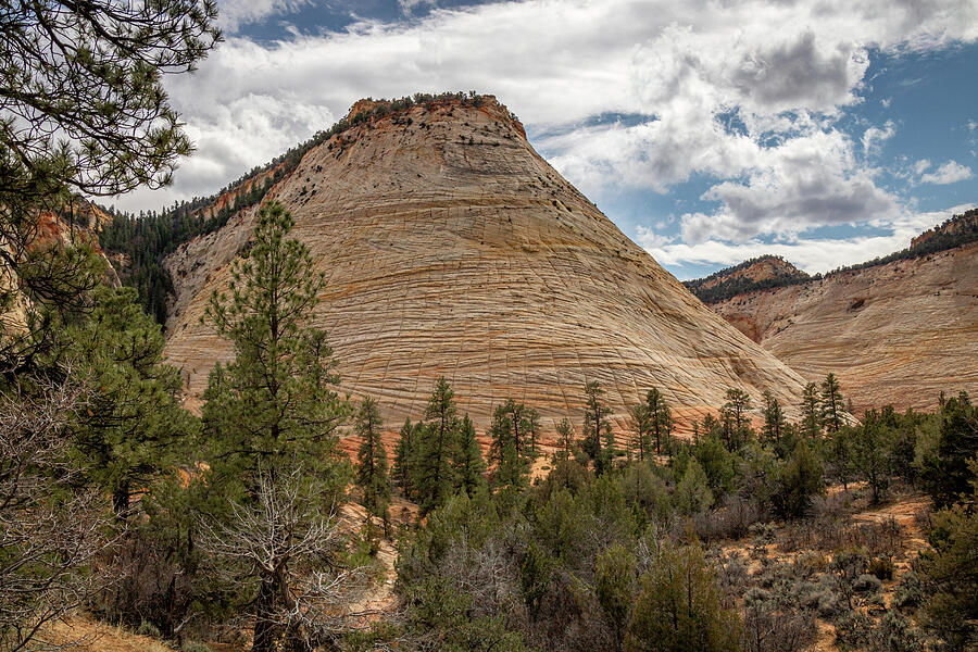 Zion_9994 Photograph by Linda Triplett