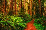 Hiking Path in Redwood Forest #1 Digital Art by Miroslav Liska