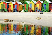 Multicoloured beach huts on Muizenberg beach #1 Photograph by Sami Sarkis Photography