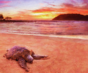 Sea Turtle at Moloa'a Beach, Kauai, Hawaii #1 Photograph by Steven Heap