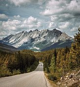 Scenic Icefields Pkwy traveling through Banff and Jasper National parks #2 Photograph by Miroslav Liska