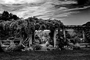 Wave Hill Pergola Photograph by Jessica Jenney