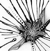 23 Squidoo Drawing by Jan Steinle