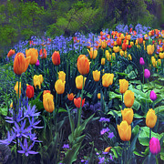 Procession of Tulips Photograph by Jessica Jenney