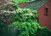 After The Rain Photograph by Kenneth Campbell