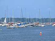 All In Line Photograph by Robert Newman