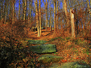 Appalachian Trail in NY Photograph by Raymond Salani III