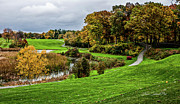 Autumn Beauty Photograph by Joann Copeland-Paul