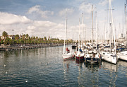 Barcelona Harbor Photograph by Steven Sparks