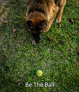 Be The Ball Photograph by Blake Webster