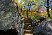 Bear Mountain Steps Photograph by Raymond Salani III