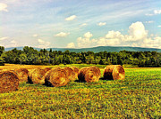Beautiful Bales Photograph by Onedayoneimage Photography
