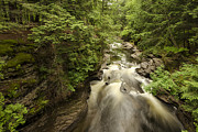 Beautiful Cascades Photograph by Steve L'Italien