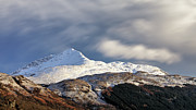 Ben Lomond Photograph by Grant Glendinning