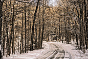 Bend in the Road Photograph by Onedayoneimage Photography