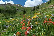 Black Bear Pass Landscape Photograph by Cascade Colors