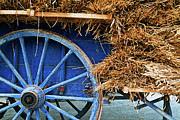 Blue cart full with load of straw Photograph by Sami Sarkis Photography