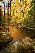 Blue Ridge Stream Photograph by Marshall Hurley
