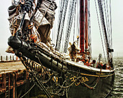 Bluenose Photograph by Tatiana Travelways