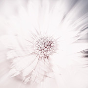 Breathe Me Photograph by Jaroslav Buna