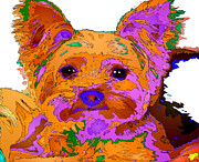 Buddy the Baby. Pet Series Digital Art by Rafael Salazar