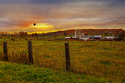 Buffalo Farm Sunset Photograph by Susan Candelario