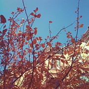 By the Autumn Tree 2 Photograph by Onedayoneimage Photography
