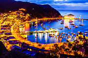 Catalina Island Avalon Bay at Night Photograph by Paul Velgos