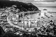 Catalina Island Avalon Bay Black and White Picture Photograph by Paul Velgos