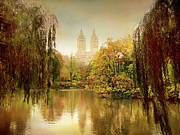 Central Park Splendor Photograph by Jessica Jenney