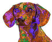 Chloe. Pet Series Digital Art by Rafael Salazar