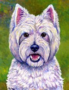Colorful West Highland White Terrier Dog Painting by Rebecca Wang