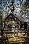 Cozy Cabin Photograph by Joann Copeland-Paul