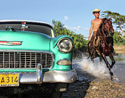 Cuban Horsepower Photograph by Marla Craven
