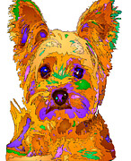Cupcake the Yorkie. Pet Series Digital Art by Rafael Salazar