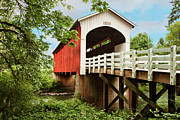 Currin Bridge Photograph by Mary Jo Allen