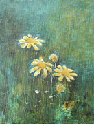 Daisies 3 Painting by Jane See