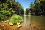 Dangar Falls in the Rainforest of Dorrigo National Park, Australia Photograph by Miroslav Liska