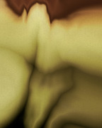 Dental Dilemma Digital Art by Vic Eberly