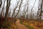Destruction in Color Photograph by Joni Eskridge