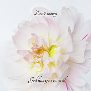 Don't Worry Square Photograph by Mary Jo Allen