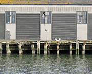 Doors 21 and 19  - San Francisco California Photograph by Darin Volpe