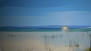 Essentials Digital Art by Gina Harrison