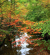 Fall is in the Air Photograph by Rafael Salazar