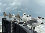 Ferry Passengers Digital Art by Gina Harrison
