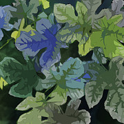 Fig Leaves Digital Art by Gina Harrison