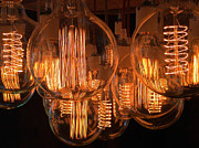 Filaments Photograph by Rick Locke - Out of the Corner of My Eye