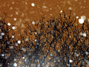 Flakes in the Dark Photograph by Onedayoneimage Photography