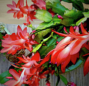 Flamboyance Digital Art by Gina Harrison